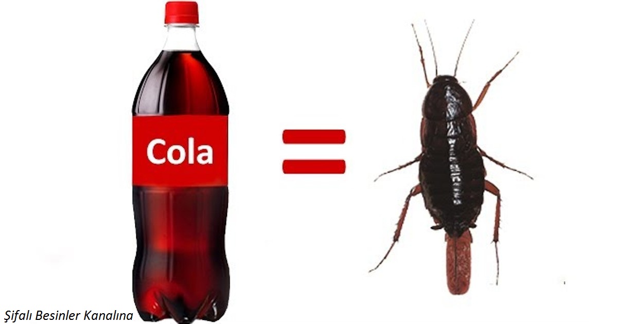 9 ингредиентов в составе Кока-Колы, узнав о которых, вы перестанете ее пить