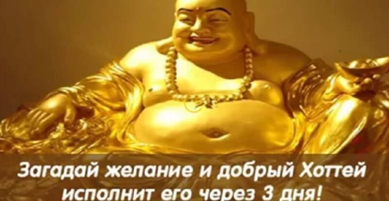 Загадай желание, и добрый Хоттей исполнит его через 3 дня!