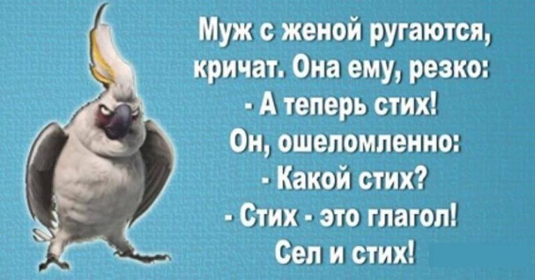 Двадцать веселых мыслей в картинках для хорошего настроения на целый день