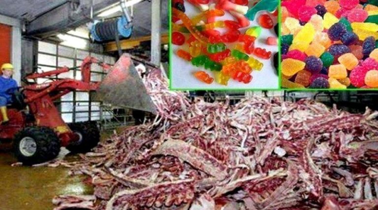 Так вот из чего сделаны эти любимые детские конфеты! Волосы дыбом!