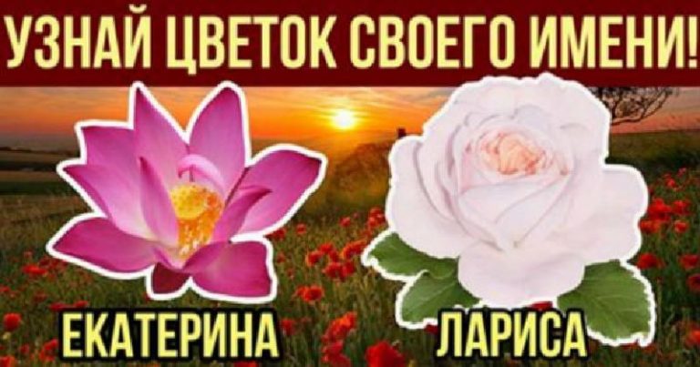 Какой цветок соответствует вашему имени и является вашим талисманом