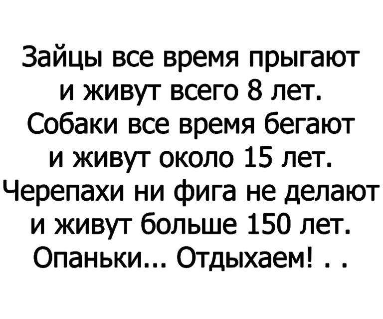 Убойные анекдоты для позитивного настроя!