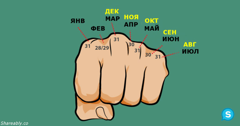 11 крайне полезных трюков, которым только некоторых из нас научили в школе