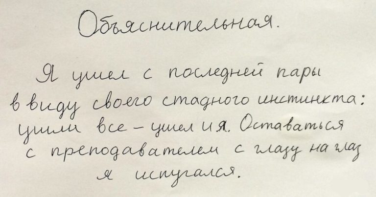12 угарных объяснительных, авторов которых хочется понять и простить