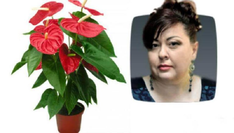 Елена Курилова рассказала о 10 конкретных растениях которые принесут счастье и деньги в ваш дом