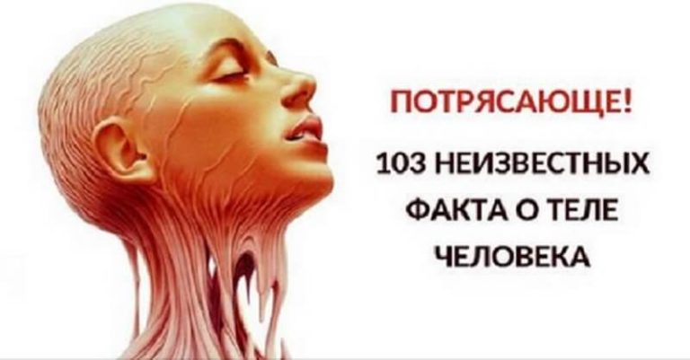 Ошеломительные факты о человеческом теле