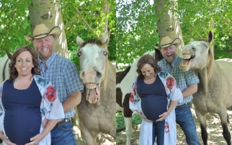 A smiling horse “prevents” its owner from being photographed with a wide smile