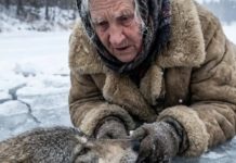 Старушка спасла тонущего волка на замёрзшем озере. Все изменилось, когда из леса вышла вся стая и она поняла, что может не вернуться домой