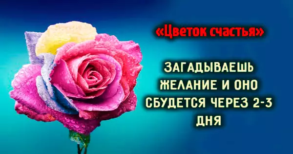 Волшебный «Цветок счастья», загадываешь желание, и оно сбудется через 2-3 дня