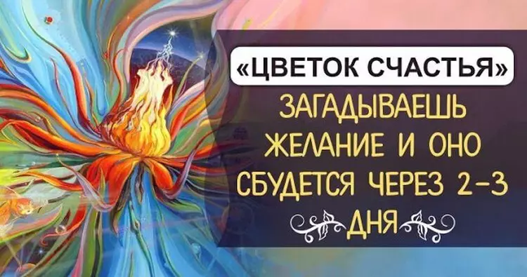 «Цветок счастья» — просто загадываешь желание и оно сбудется через 2-3 дня