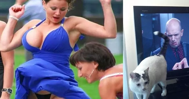 В яблочко! 18 фотографий, сделанных в идеально подходящий момент