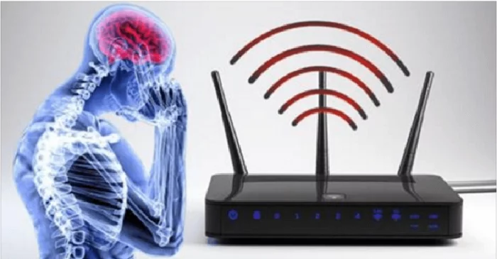 В Европе стали запрещать Wi-Fi в школах и детсадах. И вот почему