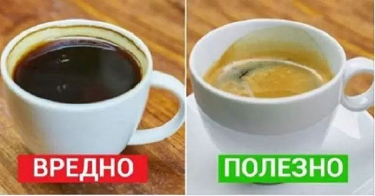7 важных фактов, о которых должен знать каждый кофеман…