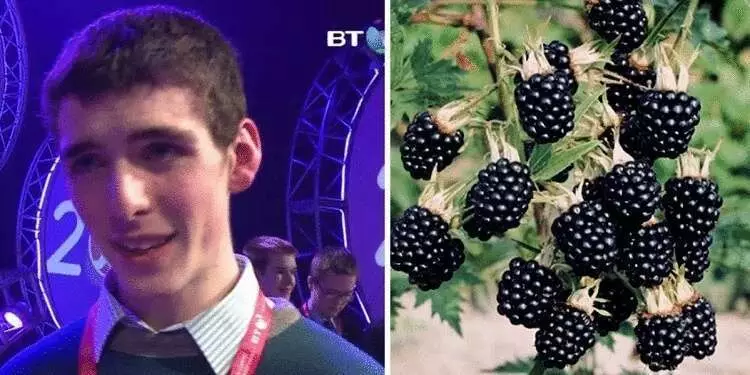 Подросток получил ″детского Нобеля″ за то, что узнал что-то важное о ежевике